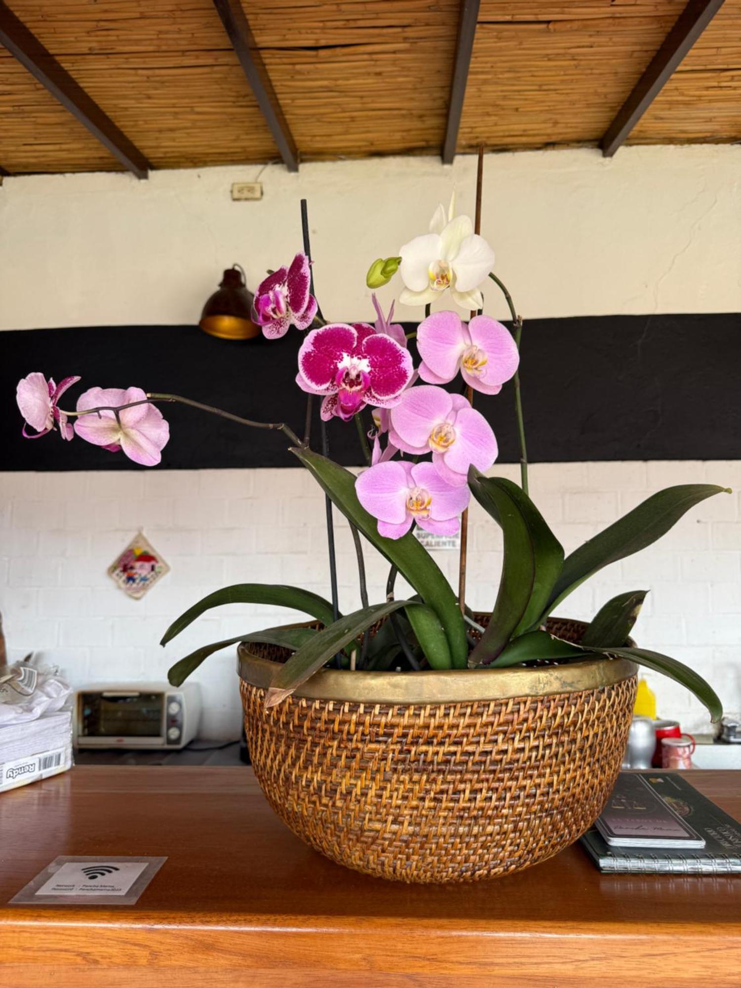 Pancha Mama Hotel Boutique Villa de Leyva Exterior photo